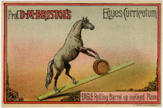 Professor D.M. Bristol: Equescurriculum