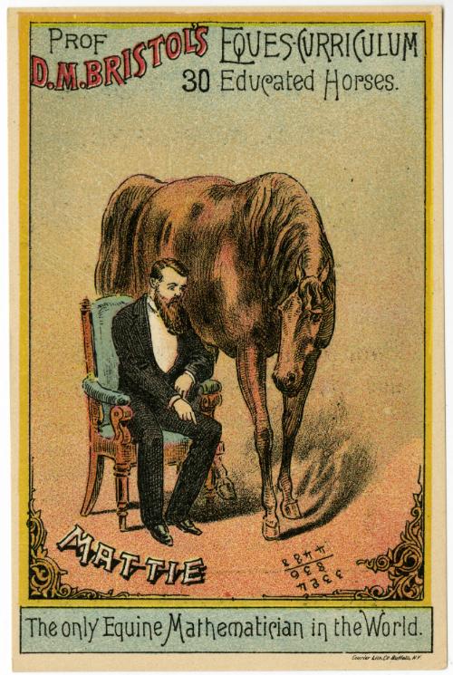 Professor D.M. Bristol: Equescurriculum