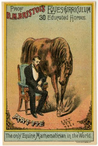 Professor D.M. Bristol: Equescurriculum