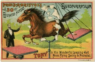 Professor D.M. Bristol: Equescurriculum: 30 Educated Horses