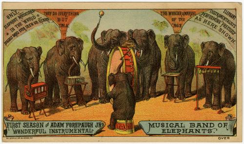 Adam Forepaugh Jr.: Musical Band of Elephants