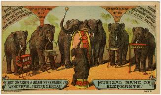 Adam Forepaugh Jr.: Musical Band of Elephants