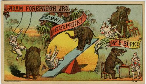 Adam Forepaugh Jr's: Clown Elephants introduced by Wm. E. Burke