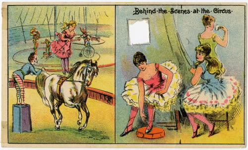 Donaldson & Rich: Behind the Scenes at the Circus
