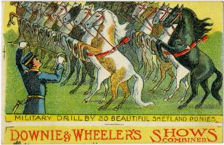 Downie & Wheeler: Military Drill by 20 Beautiful Shetland Ponies