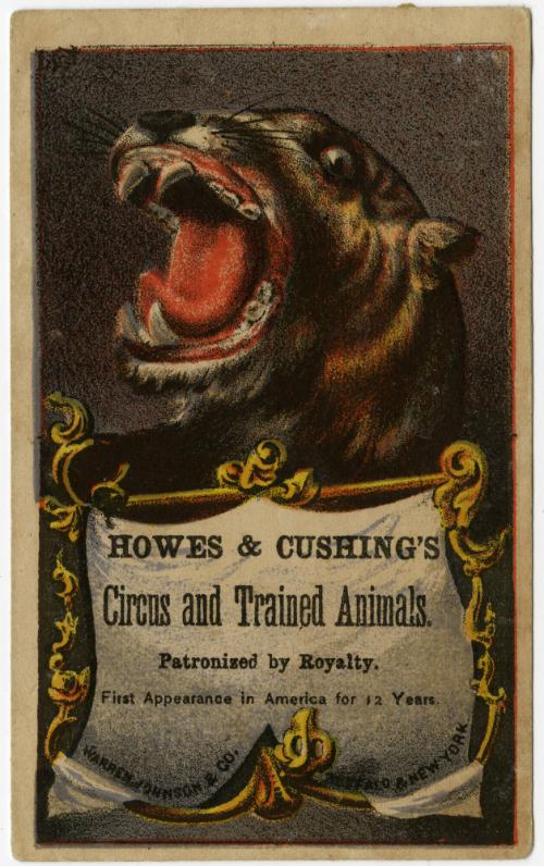 Howes & Cushing: Circus and Trained Animals; Feline