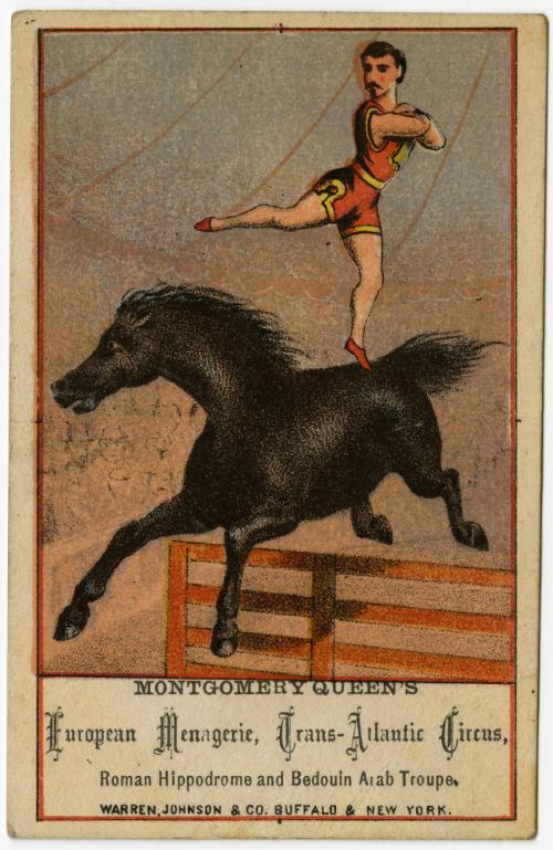 Montgomery Queen's Circus: Equestrian artist