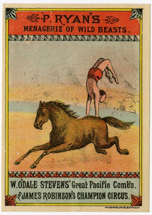 P. Ryan's, W. O'Dale Steven's and James Robinson's: Equestrian artists