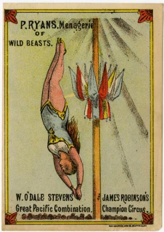 P. Ryan's, W. O'Dale Steven's and James Robinson's: Aerialists