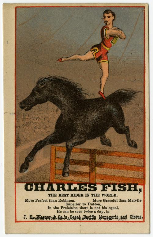 J.E. Warner & Co.: Charles Fish