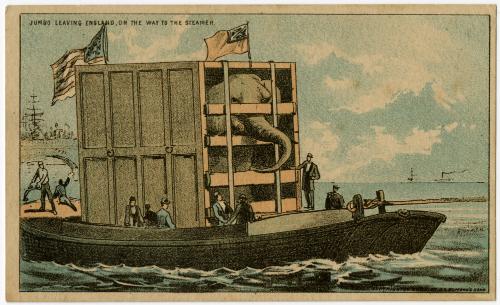 Jumbo leaving England, on the way to the Steamer