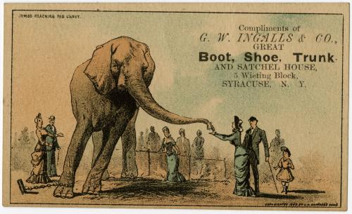 Jumbo reaching for candy: G.W. Ingalls & Co