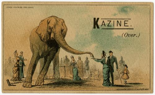 Jumbo reaching for candy: Kazine