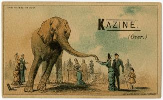 Jumbo reaching for candy: Kazine