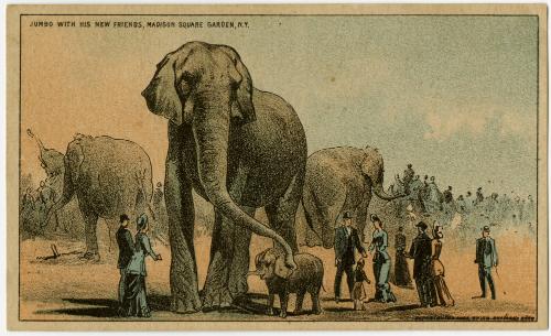 Jumbo with his new friends, Madison Square Garden, N.Y.