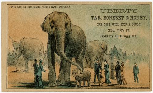 Jumbo with his new friends, Madison Square Garden, N.Y.: Ubert's