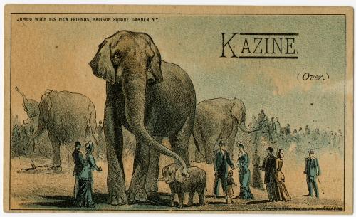 Jumbo with his new friends, Madison Square Garden, N.Y.: Kazine