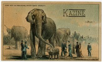 Jumbo with his new friends, Madison Square Garden, N.Y.: Kazine