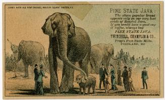 Jumbo with his new friends, Madison Square Garden, N.Y.: Pine State Java