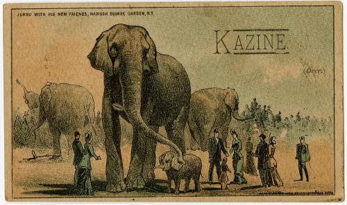 Jumbo with his new friends, Madison Square Garden, N.Y.: Kazine