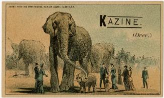 Jumbo with his new friends, Madison Square Garden, N.Y.: Kazine
