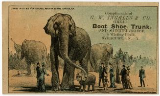 Jumbo with his new friends, Madison Square Garden, N.Y.: G.W. Ingalls & Co