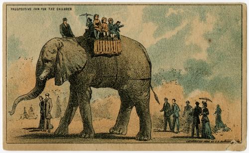 Jumbo: Prospective fun for the children