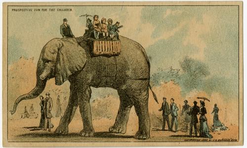 Jumbo: Prospective fun for the children
