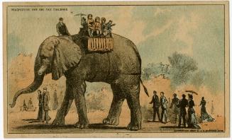 Jumbo: Prospective fun for the children