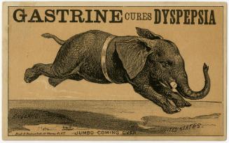Jumbo Coming Over : Gastrine cures dyspepsia