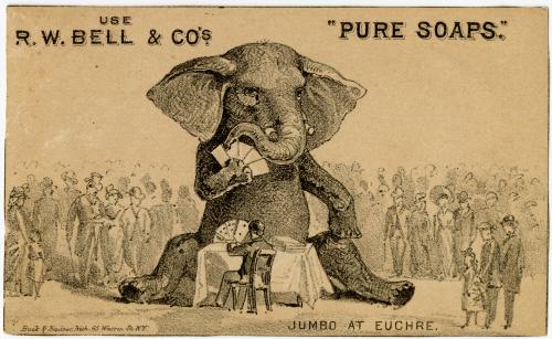 Jumbo at Euchre
