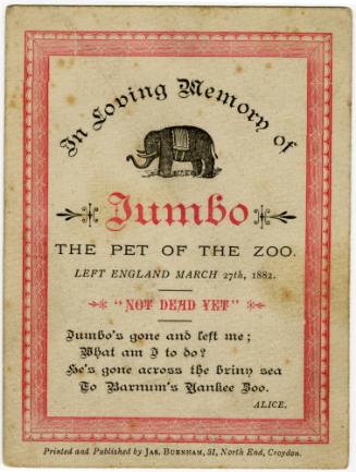 In Loving Memory of Jumbo