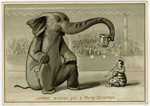 Jumbo wishes you a Merry Christmas
