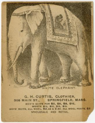 White Elephant