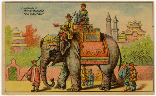 Elephant carrying goods