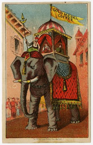 Elephant: Gold Medal Coffee