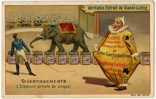 Divertissements: L'Elephant, artiste de cirque