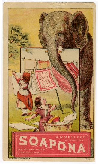Soapona: Elephant helping with laundrey