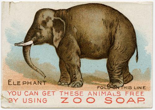 Elephant Zoo Soap