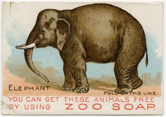 Elephant Zoo Soap