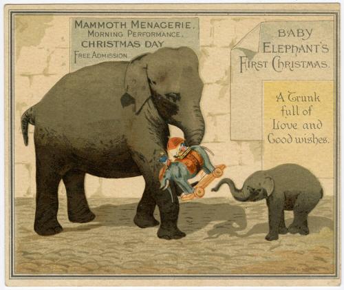 Baby Elephant's First Christmas
