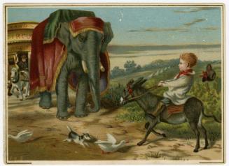 Elephant meeting boy on donkey