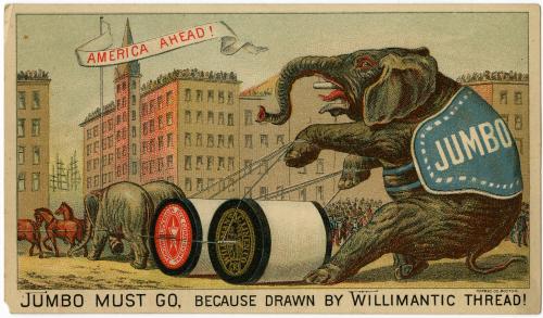 Jumbo Must Go Because Drawn by Willimantic Thread