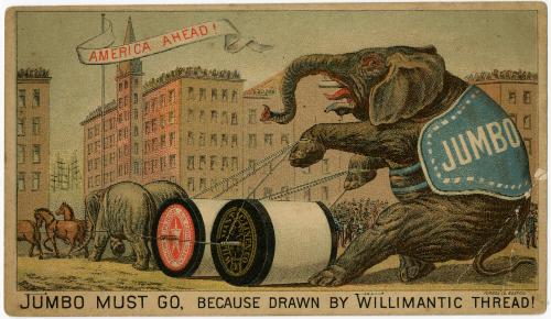 Jumbo Must Go Because Drawn by Wililmantic Thread