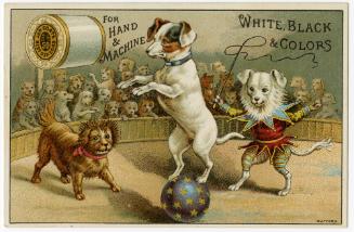 Dog circus: J & P Coats
