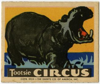 Tootsie Circus Hippopotamus