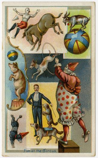 "Fun at the Circus": Animal tricks