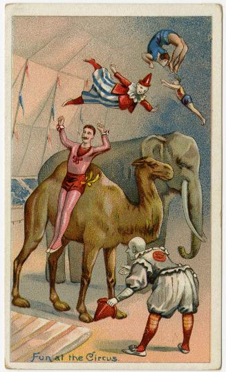 "Fun at the Circus": Acrobatics over animals