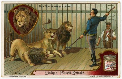 Taming lions: Liebig's