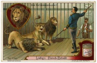 Taming lions: Liebig's